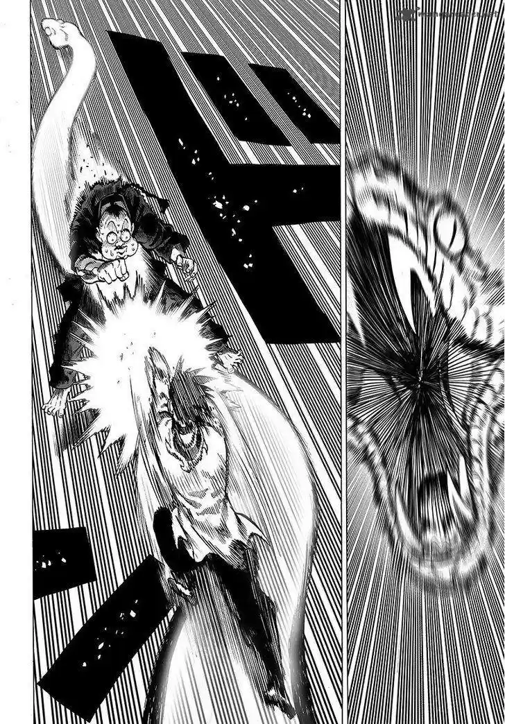 Onepunch-Man 101