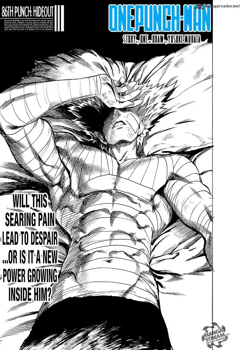 Onepunch-Man 133