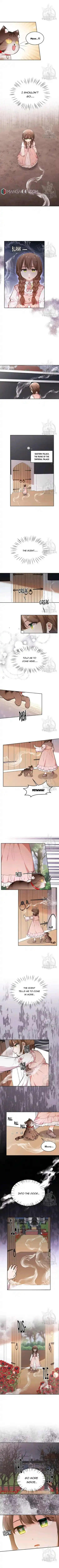 Originally A Lady With One Line Chapter 106