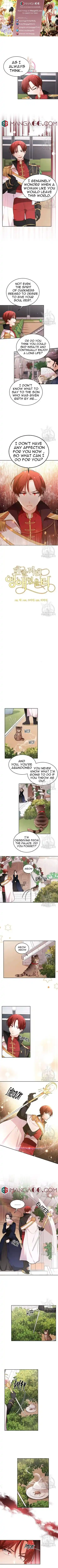 Originally A Lady With One Line Chapter 107