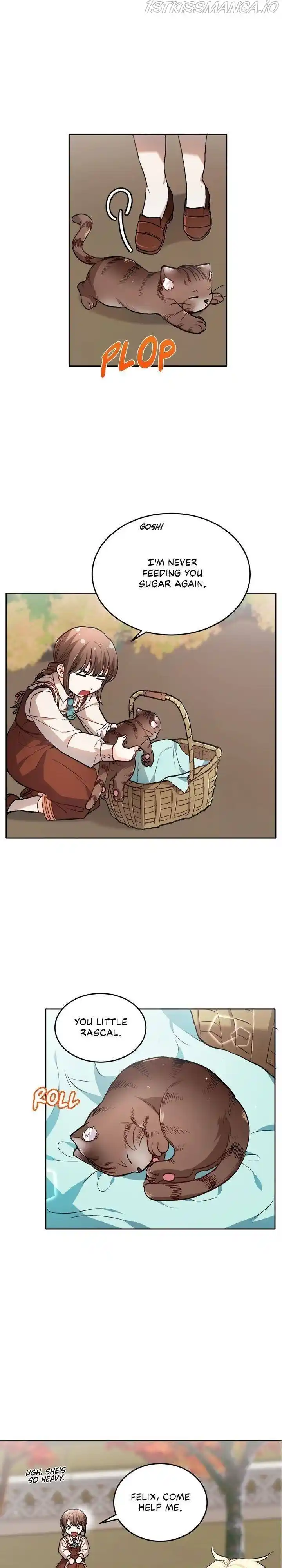 Originally A Lady With One Line Chapter 82