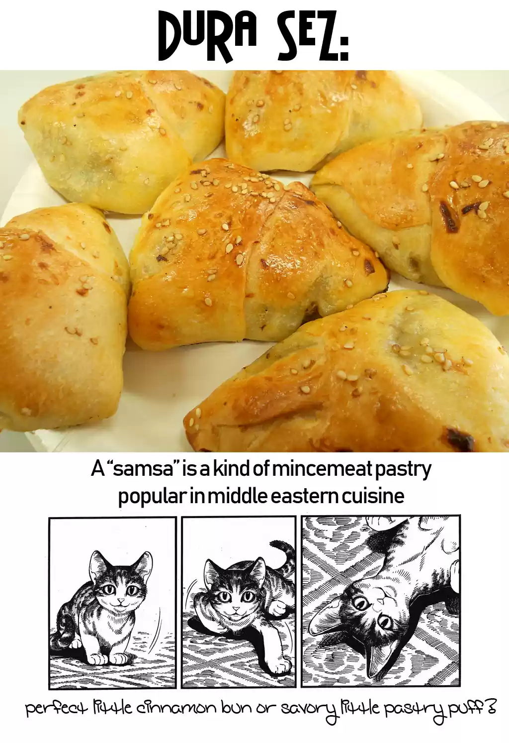 Otoyomegatari Vol. 11 Ch. 78 Samsa