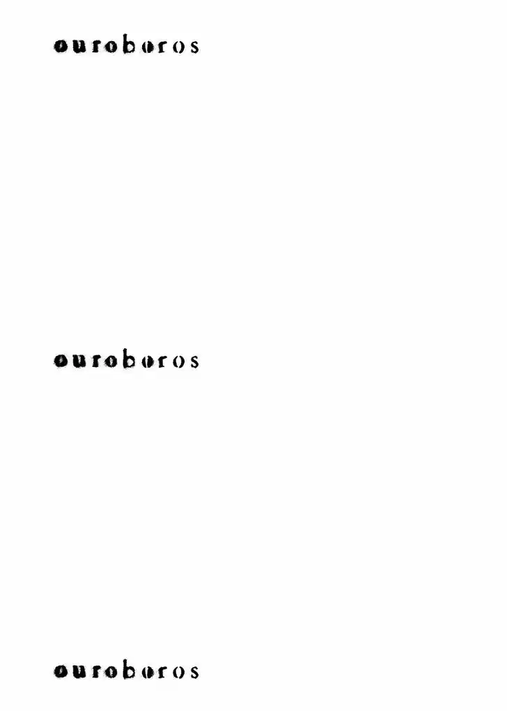 Ouroboros 77
