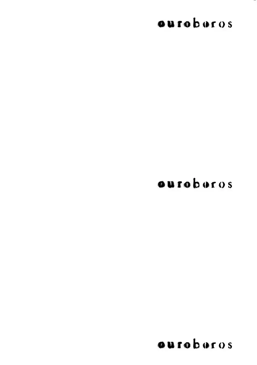 Ouroboros Chapter 71.5