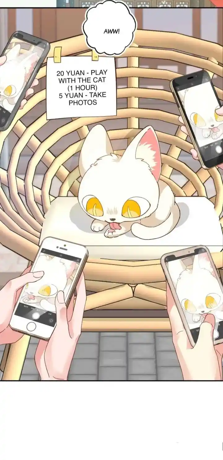 Paixiu Restaurant, Only In But Not Out Chapter 120