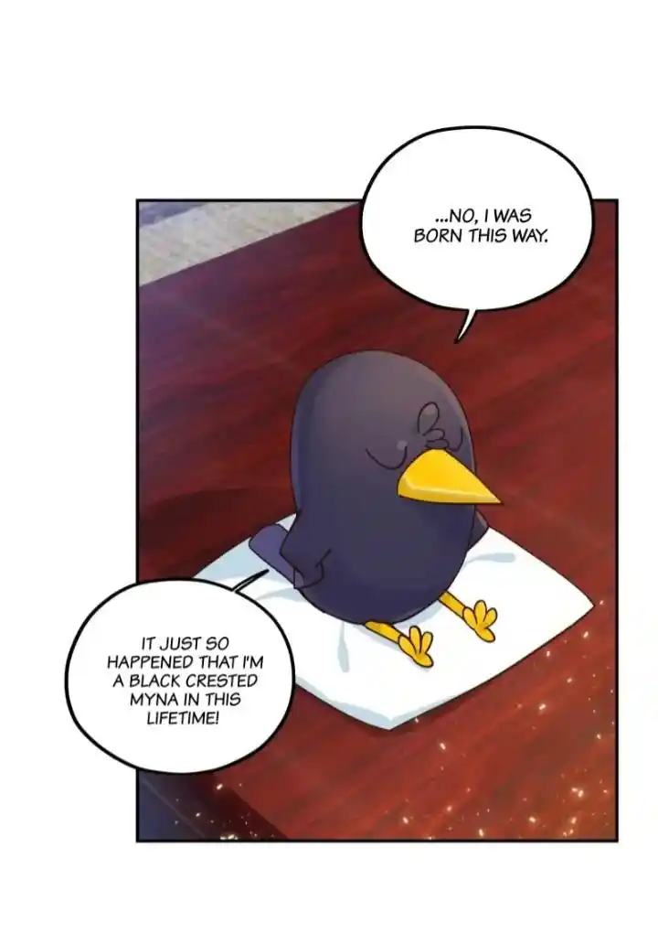 Paixiu Restaurant, Only In But Not Out Chapter 122