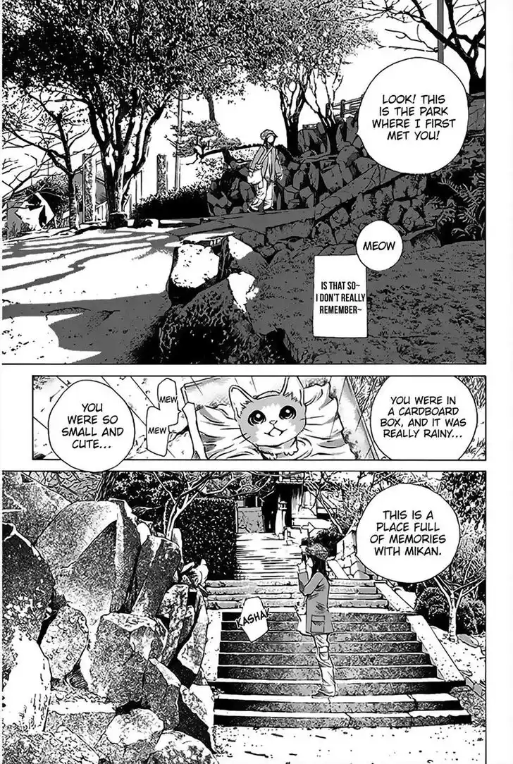 Pastel Days Vol.33 Ch.149