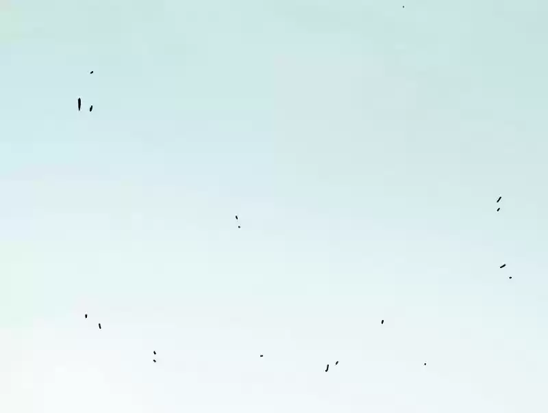 Peach and the Book of the last days Ch.023