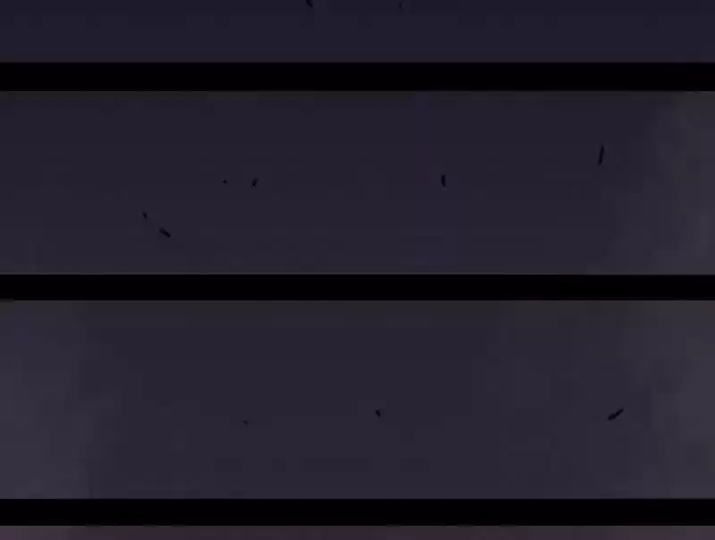 Peach and the Book of the last days Ch.023