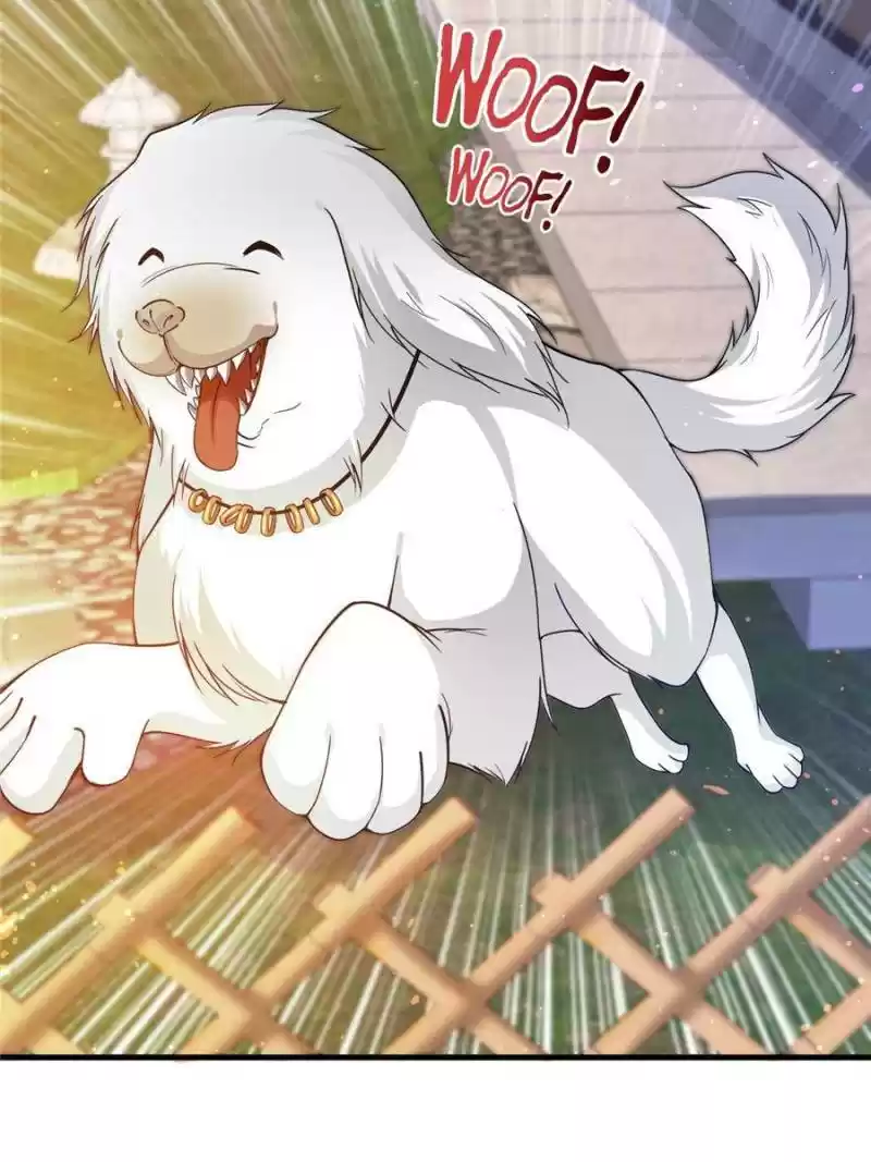 Peerless Doctor In The City Chapter 171