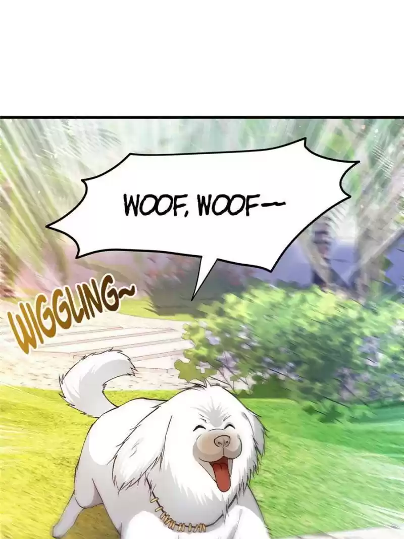 Peerless Doctor In The City Chapter 171