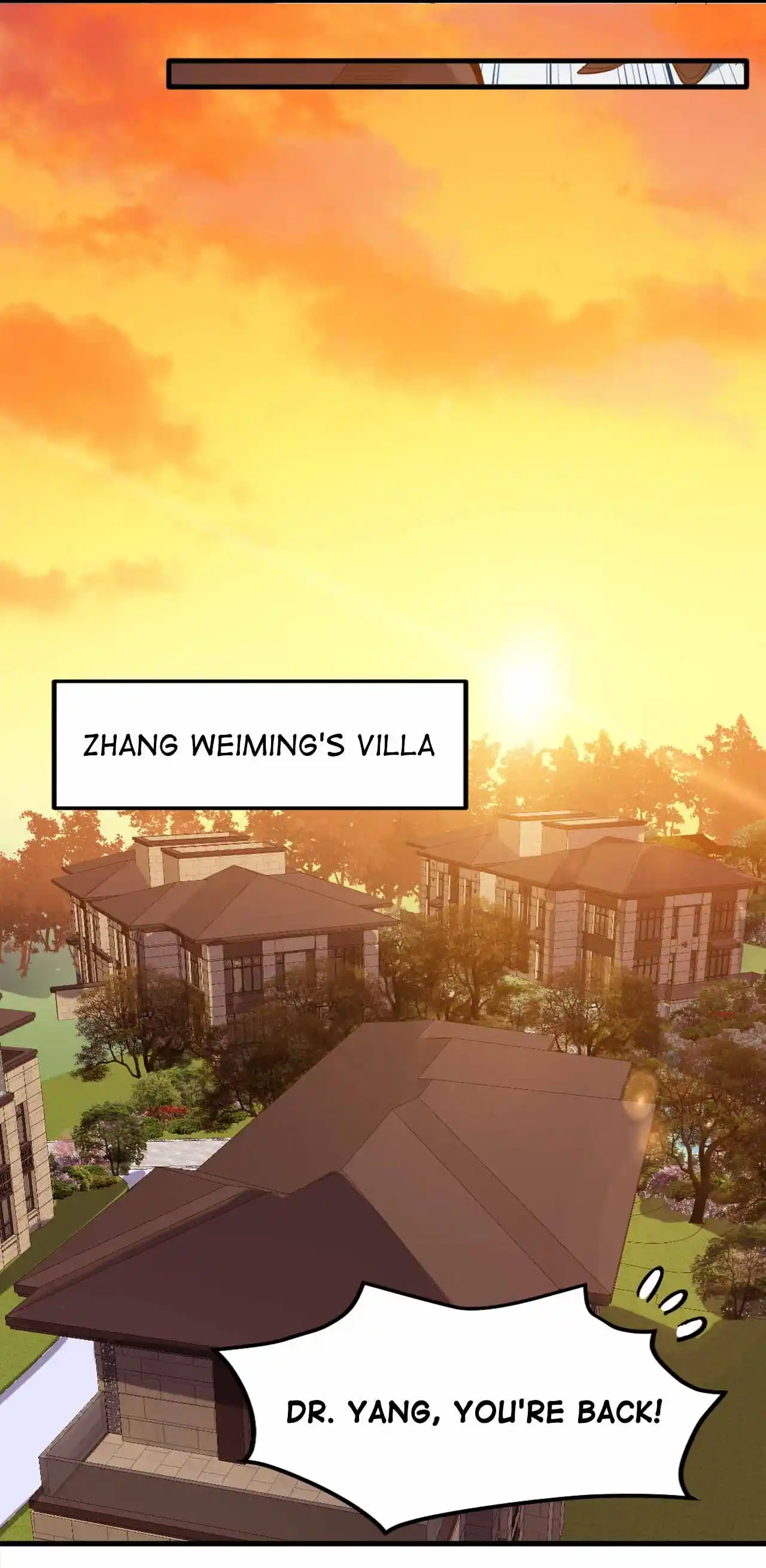 Peerless Miracle Doctor’s Adventures in the City 117