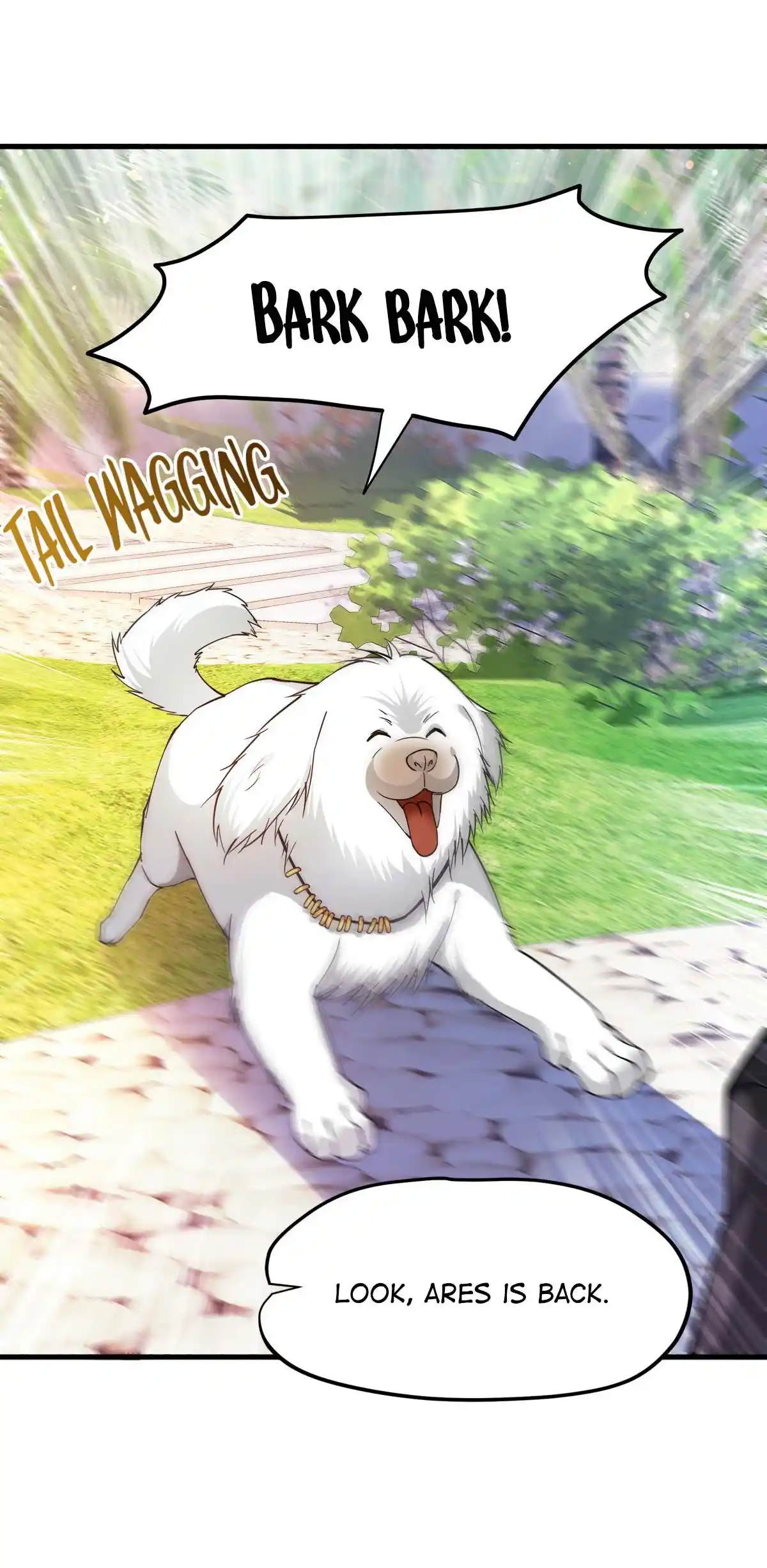 Peerless Miracle Doctor’s Adventures in the City 171