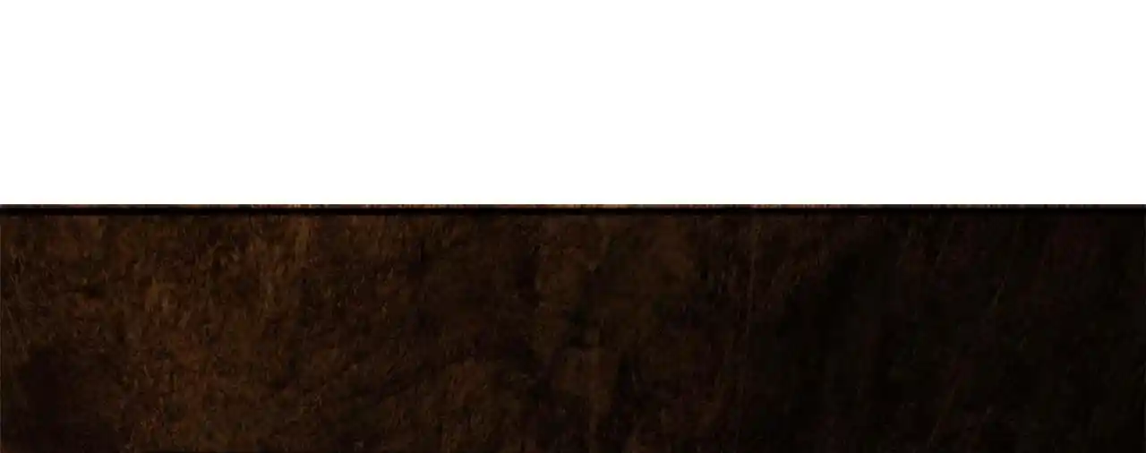 Peerless Miracle Doctor’s Adventures in the City 183