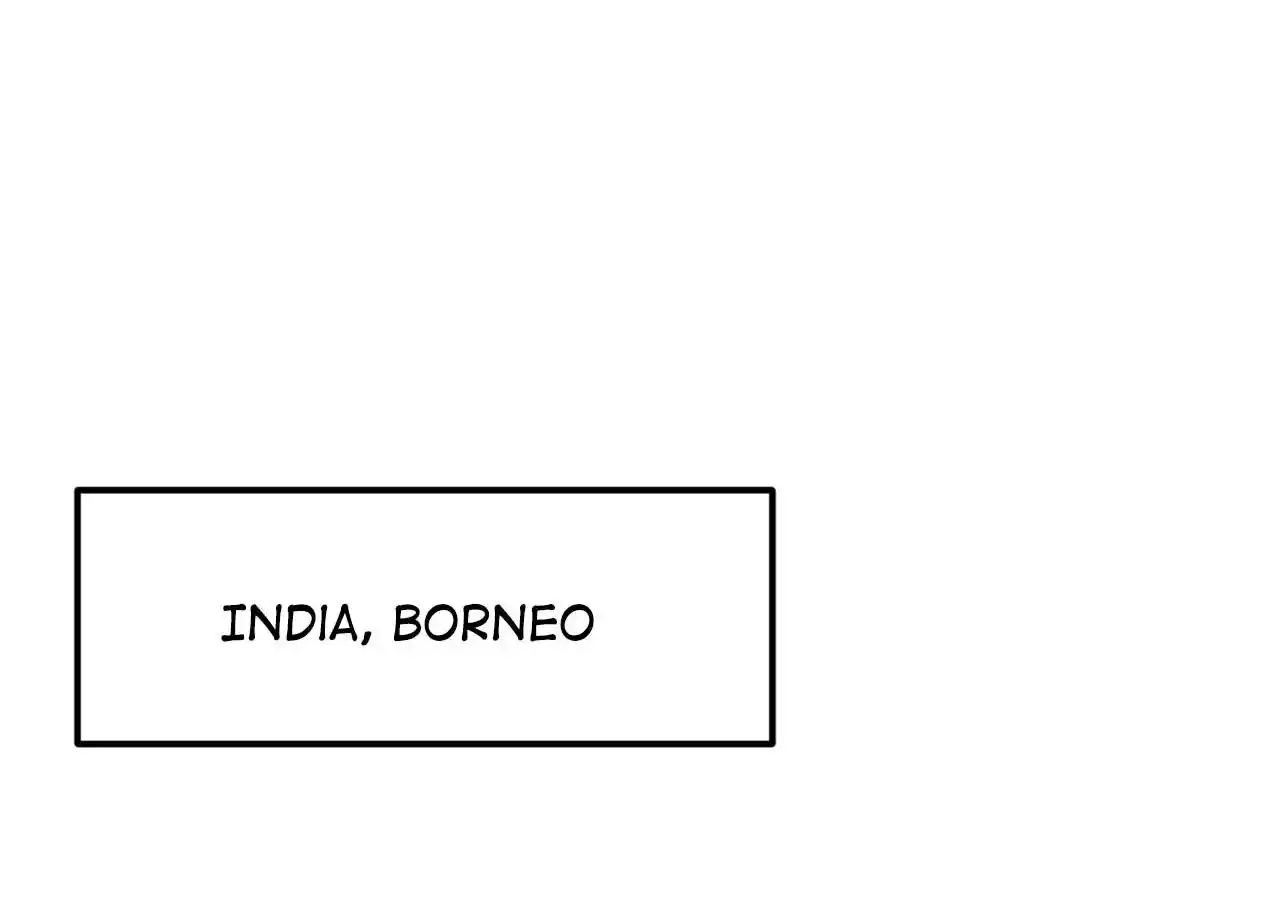 Peerless Miracle Doctor’s Adventures in the City 183