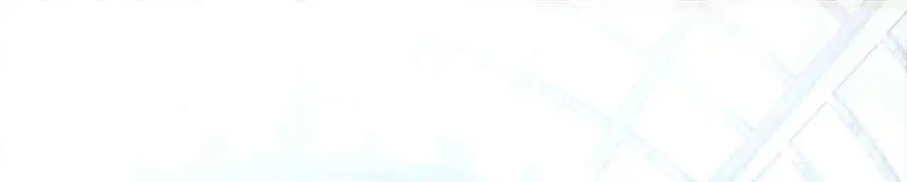 Peerless Miracle Doctor’s Adventures in the City 40