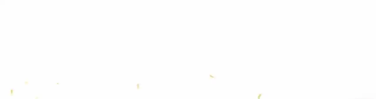 Peerless Miracle Doctor’s Adventures in the City 48