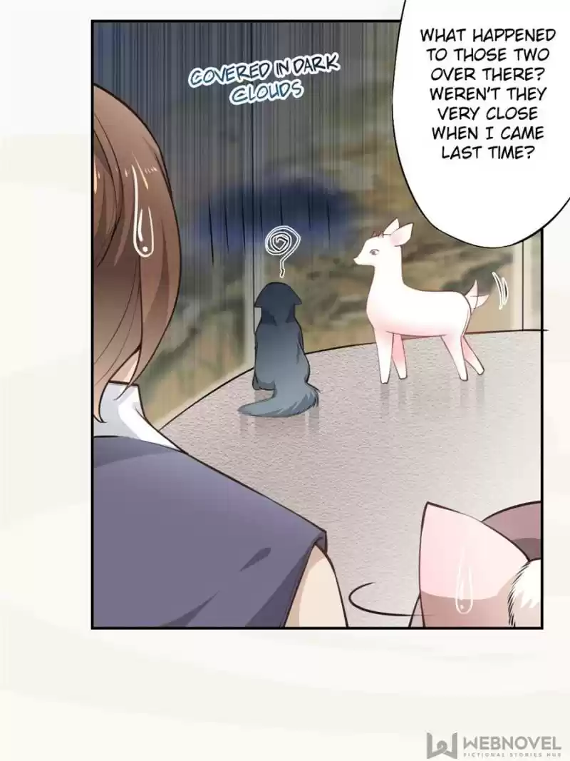 Peerless Refiner Chapter 51