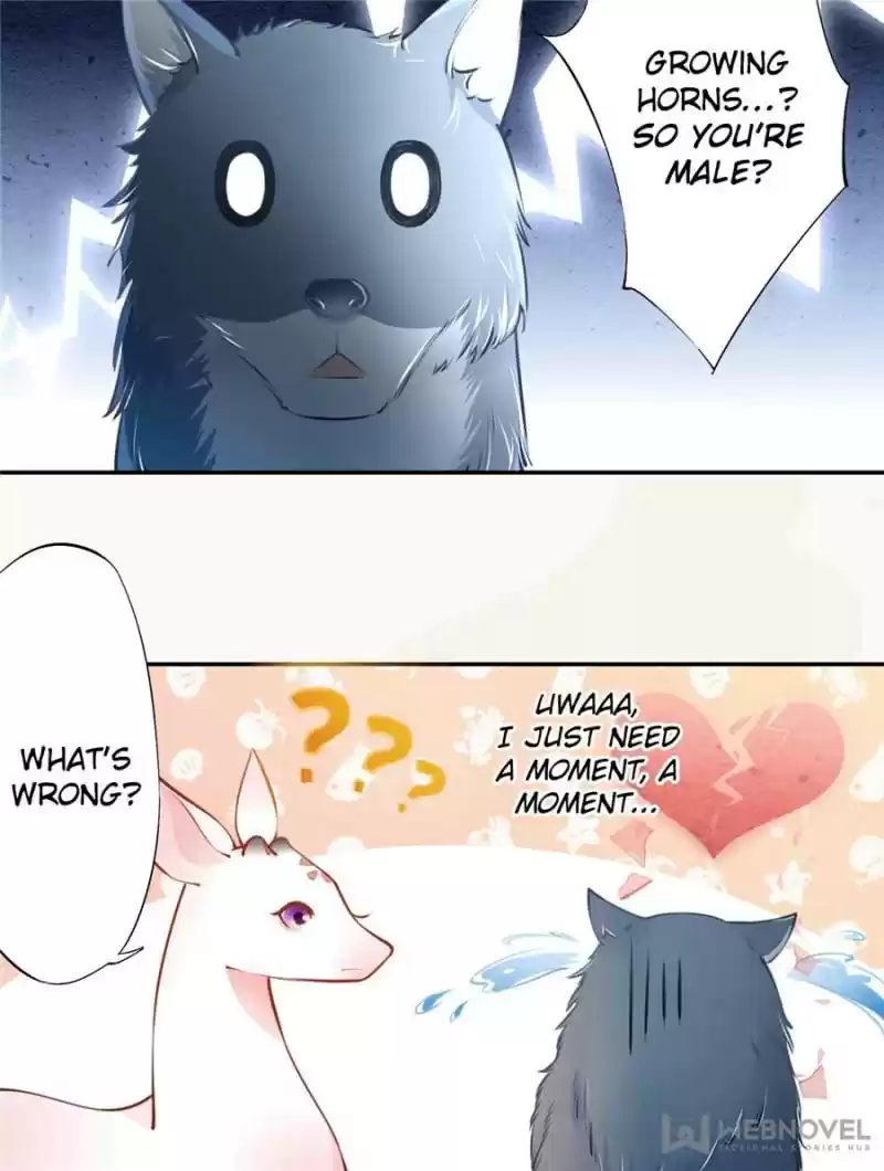 Peerless Refiner Chapter 51