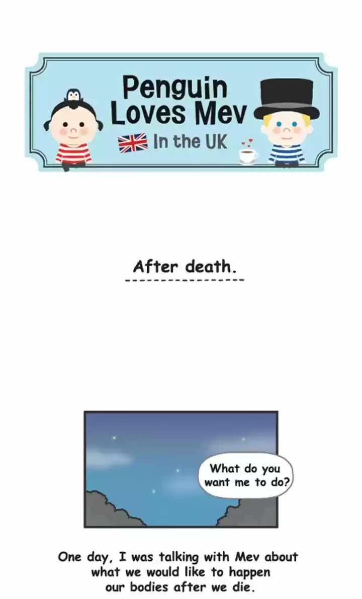 Penguin Loves Mev 104