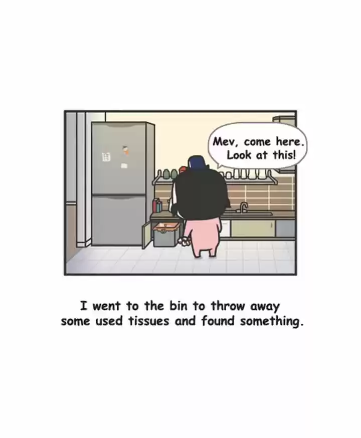 Penguin Loves Mev 151