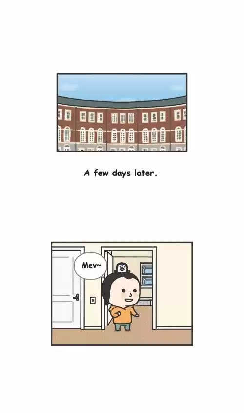 Penguin Loves Mev 164