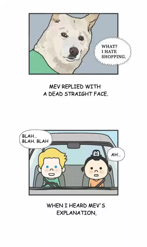 Penguin Loves Mev 18