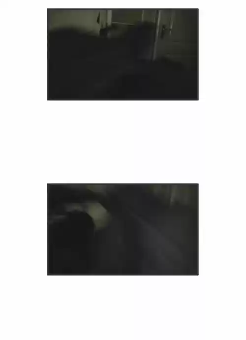 Penguin Loves Mev 185