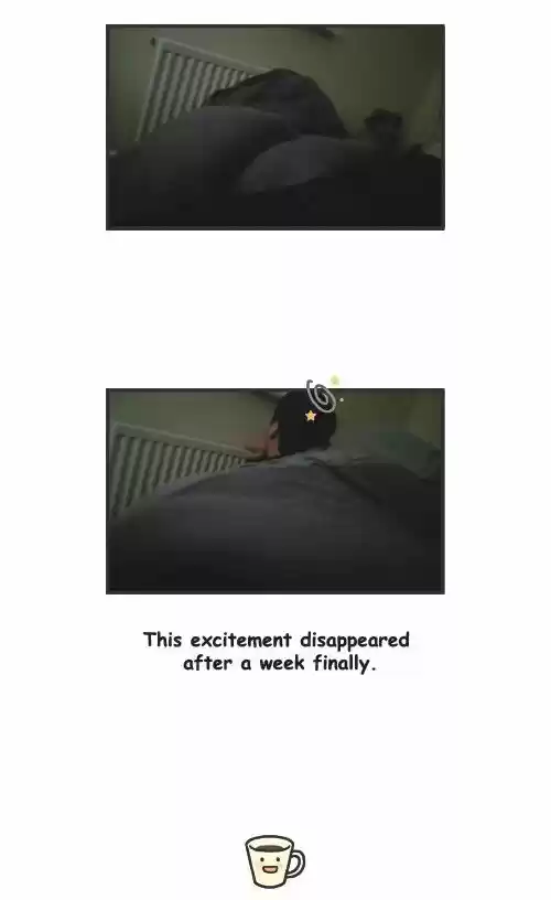 Penguin Loves Mev 185