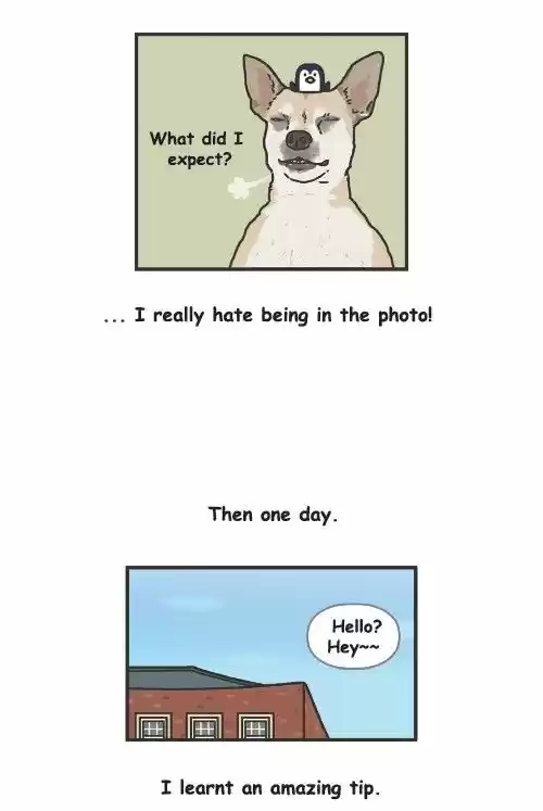 Penguin Loves Mev 191