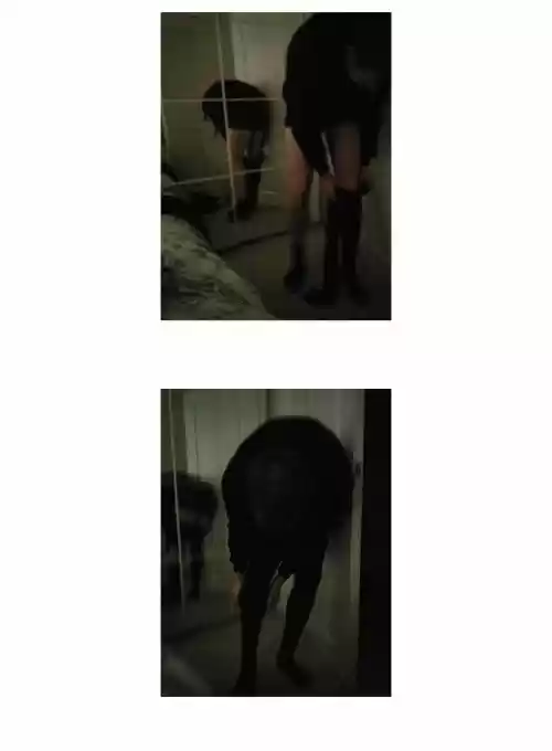 Penguin Loves Mev 197