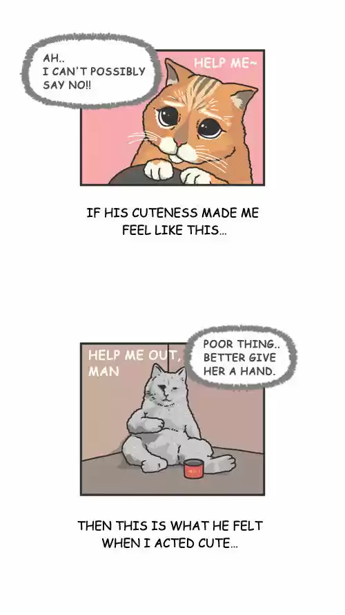 Penguin Loves Mev 20