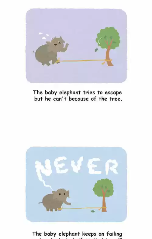 Penguin Loves Mev 22