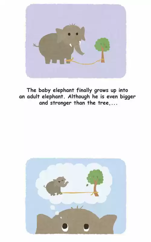 Penguin Loves Mev 22