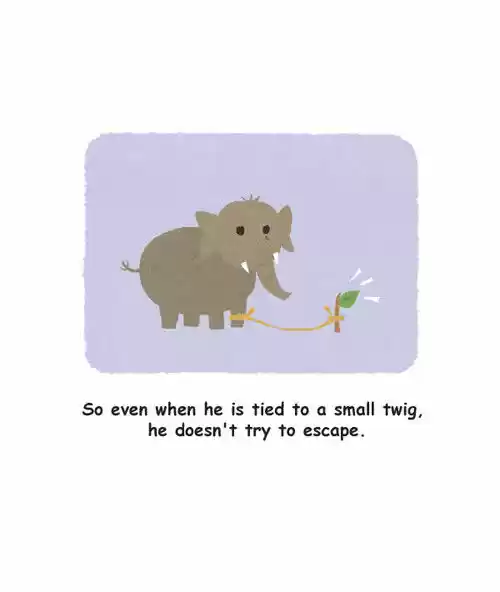 Penguin Loves Mev 22