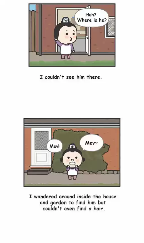 Penguin Loves Mev 24