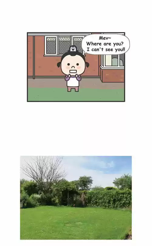 Penguin Loves Mev 24