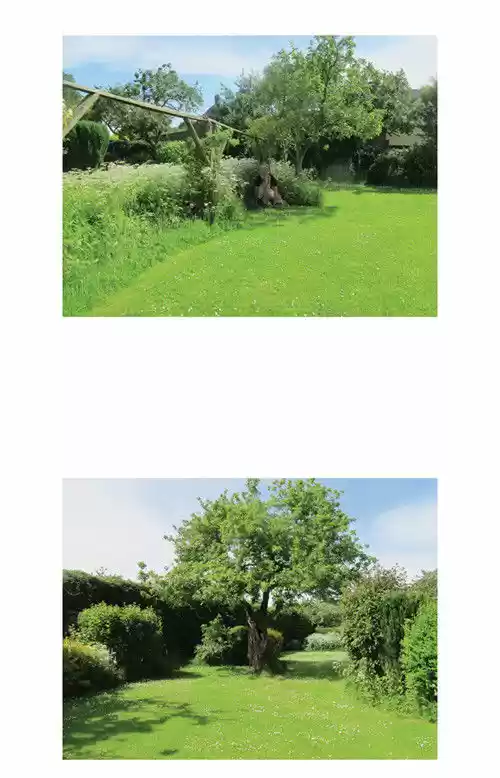 Penguin Loves Mev 24