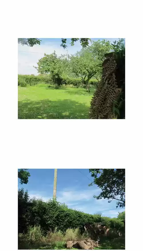 Penguin Loves Mev 24