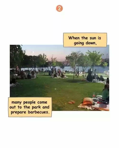 Penguin Loves Mev 245