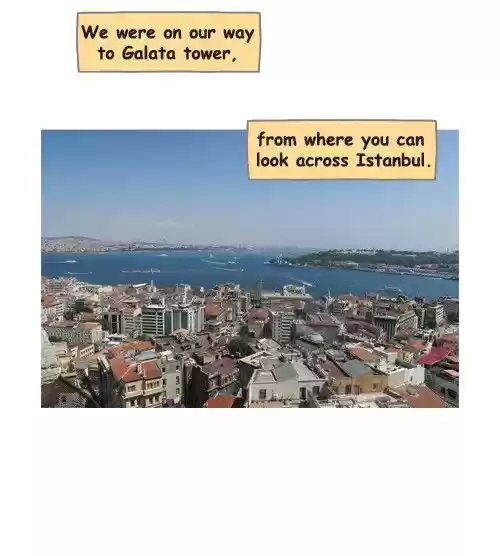 Penguin Loves Mev 247