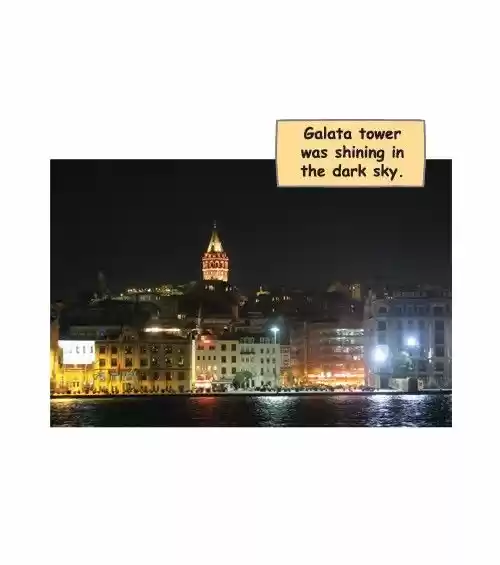 Penguin Loves Mev 252