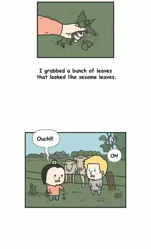 Penguin Loves Mev 257