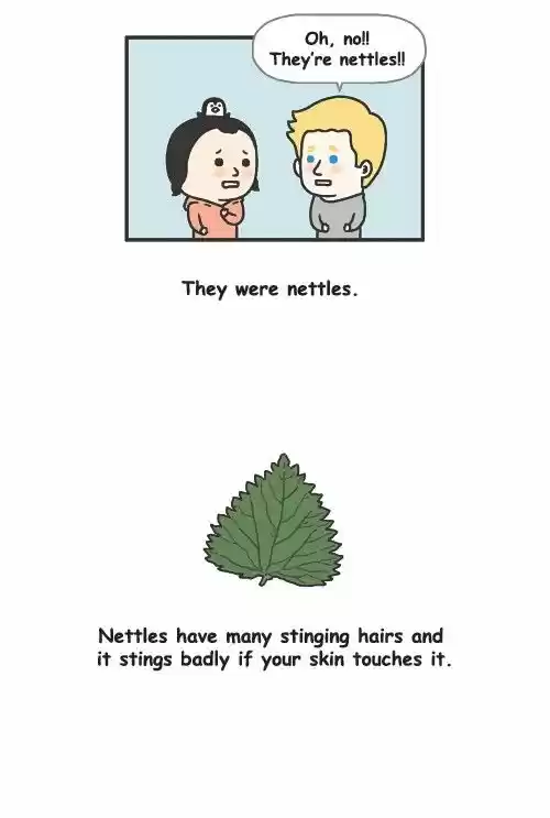 Penguin Loves Mev 257