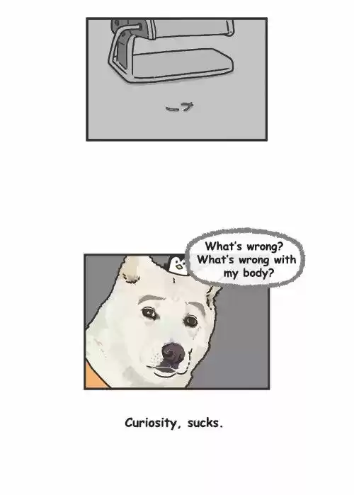 Penguin Loves Mev 258