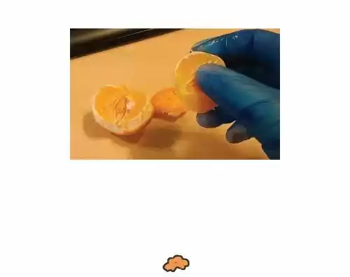 Penguin Loves Mev 266