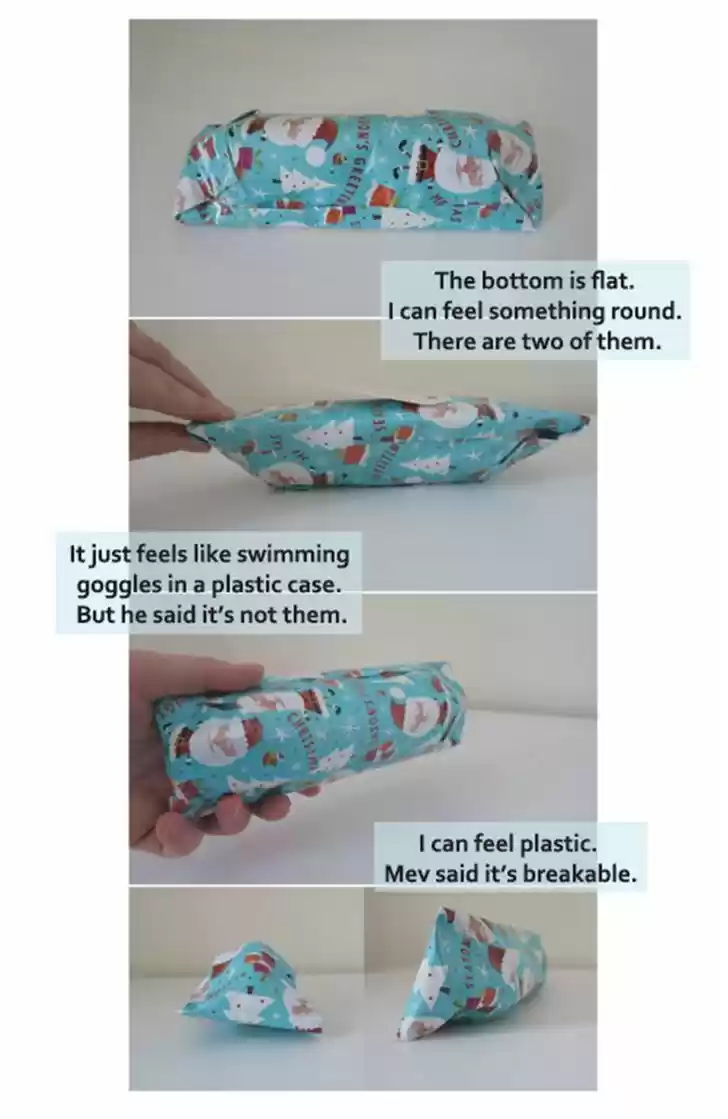 Penguin Loves Mev 270