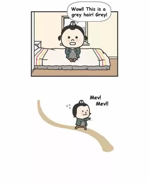 Penguin Loves Mev 276