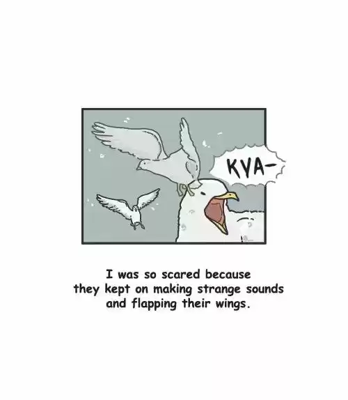 Penguin Loves Mev 284