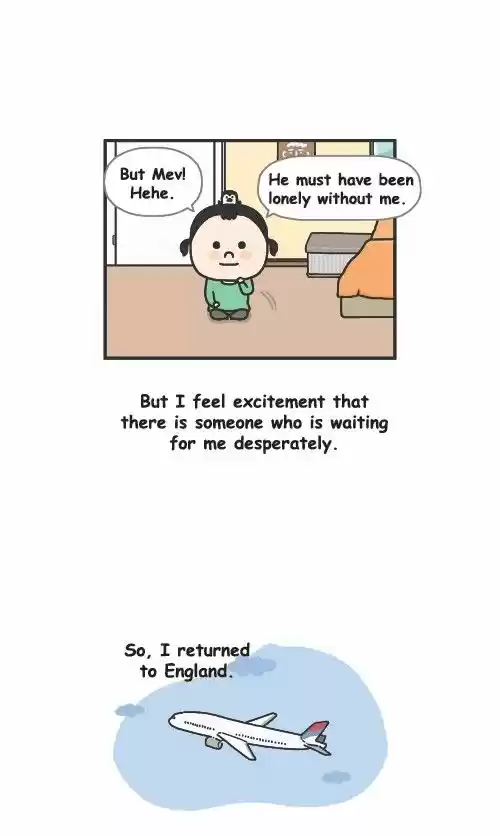 Penguin Loves Mev 285